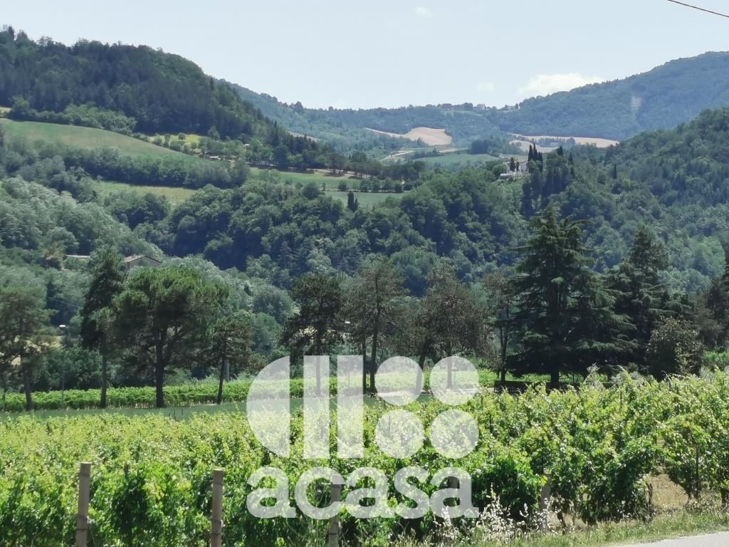 Terreni agricoli