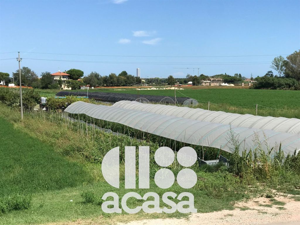 TERRENO AGRICOLO CON POZZO ARTESIANO